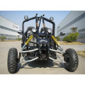 200cc CVT Automatic Transmission Go Kart with Sport Style